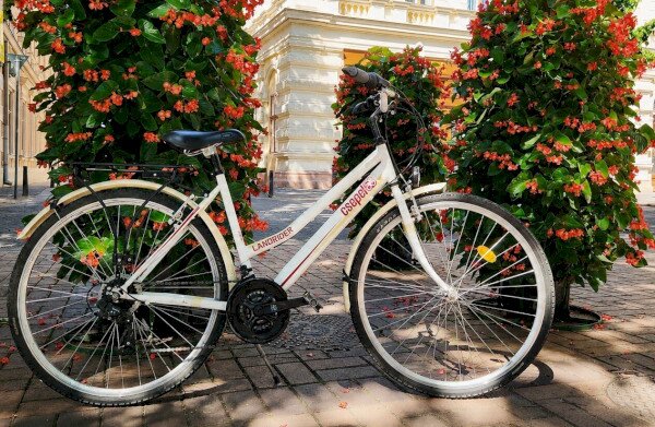 Hagyományos kerékpár Schwinn Csepel Landrider