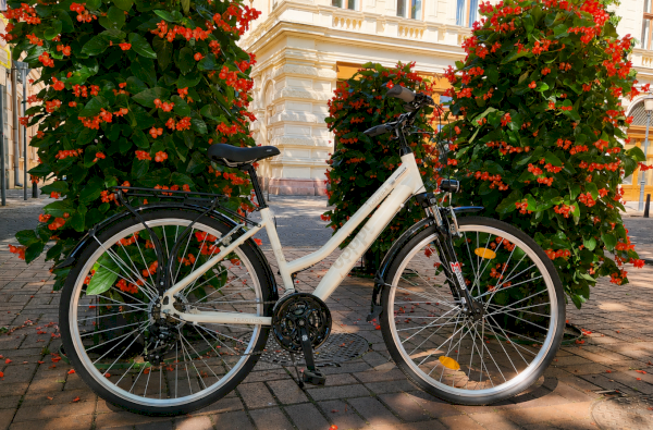 Hagyományos kerékpár Schwinn-Csepel Traction